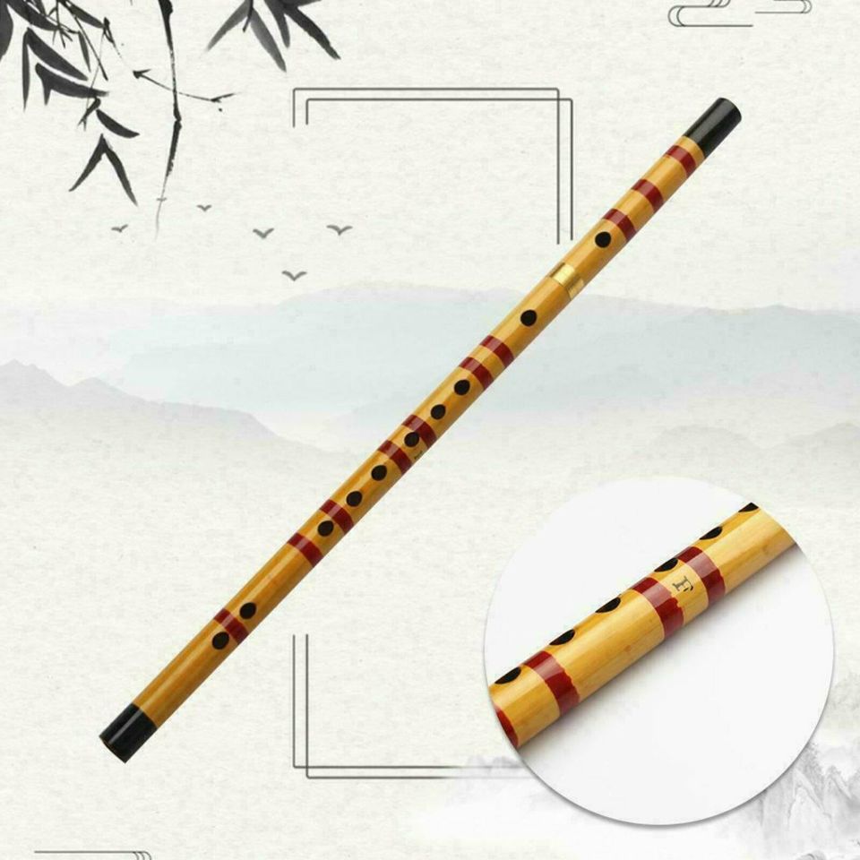 Professionelle Flöte Bansuri Bambus Holzblasinstrument Stempel  F in Norderstedt