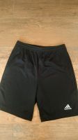 Adidas Short Gr. 164 Bayern - Pottenstein Vorschau