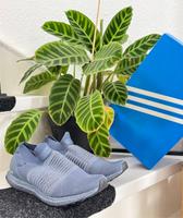 Adidas Ultraboost Laceless Continental Sohle EU41 Bayern - Lauf a.d. Pegnitz Vorschau