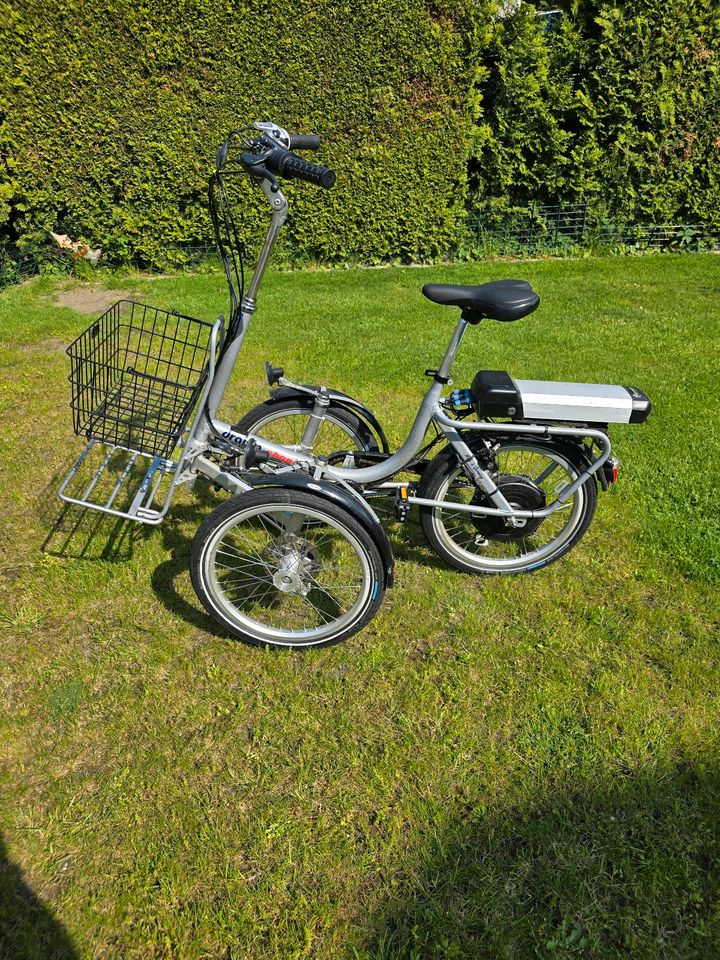 Draisin Shopi E Bike-Dreirad Falltrad in Gelsenkirchen