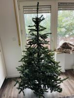 Künstlicher Weihnachtsbaum / Everlands Liberty Spruce 1,80m Baden-Württemberg - Gundelsheim Vorschau