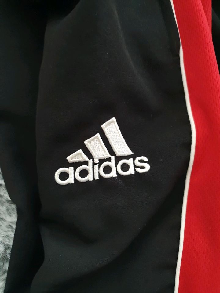 Trainingsanzug ADIDAS GR. 176 guter Zustand original in Berlin