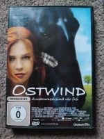 Kinderfilm Film Ostwind Grüffelo Paddington Frankfurt am Main - Bockenheim Vorschau