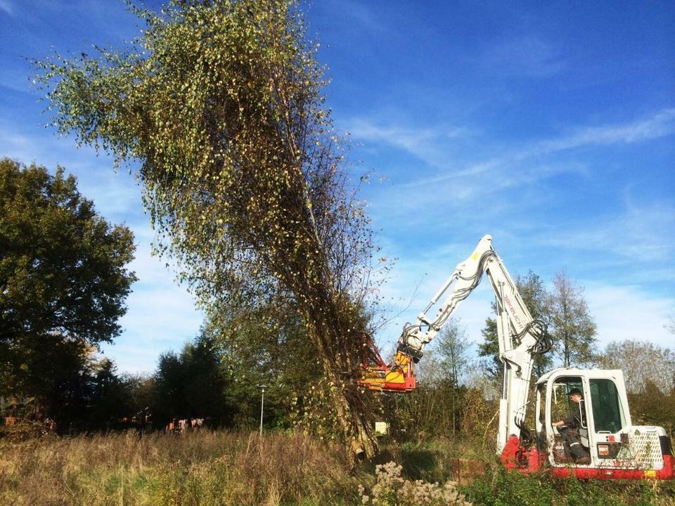 Holzhacken, Holzhäckseln, Forstarbeiten, Sturmschaden beseitigen in Rietberg