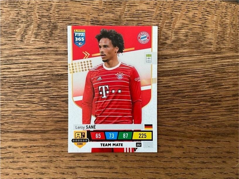 Panini Sammelkarte FIFA 365 Fußballkarte Leroy Sane in Bayreuth