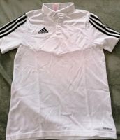 Adidas Poloshirt T-Shirt Gr. 164 Sachsen - Dohna Vorschau