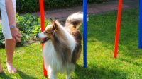 Agility Hundesport set Bayern - Eslarn Vorschau