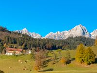 Ferienwohnung  mit Schwimmbad, Sauna u. Hochkönig Card Maria Alm Rheinland-Pfalz - Selters Vorschau