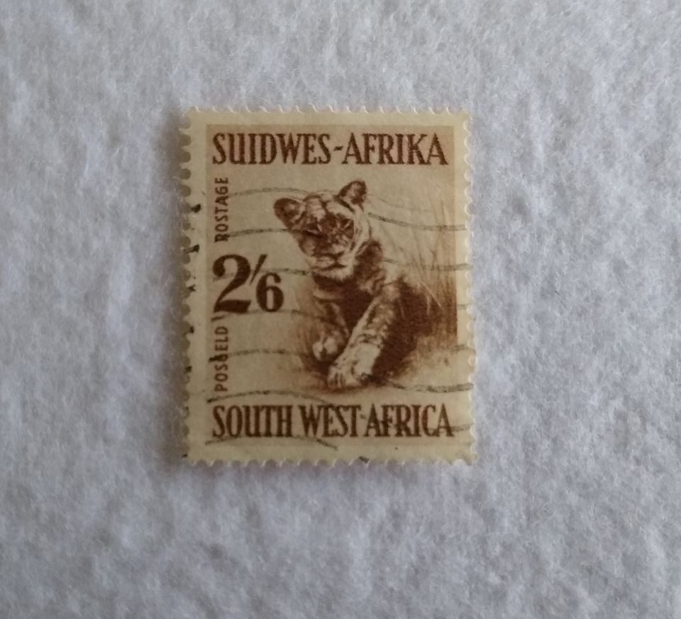 Briefmarken - Süd-Afrika und Südwest-Afrika - siehe Fotos in Immenstaad
