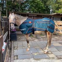 BEMER Horse Set Mieten - Kaufen - Testen Nordrhein-Westfalen - Wülfrath Vorschau