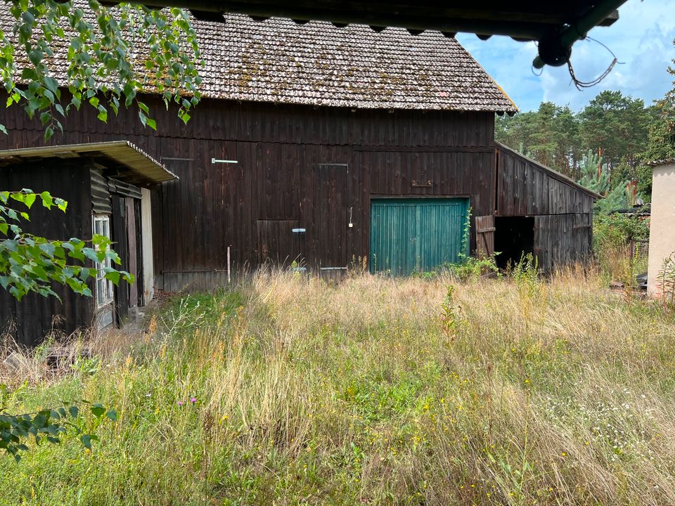 RESERVIERT I Einfamilienhaus I Bauernhof im Spreewald - Guhrow (Ruhige Lage) mit Landwirtschaftsfläche in Burg (Spreewald)
