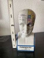 Phrenology bunt Kopf Porzellan Neurologie Fowler Schleswig-Holstein - Ahrensburg Vorschau