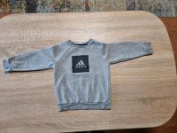 Kinder Pullover Adidas Bayern - Lindau Vorschau