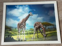 3 D Wandbild Giraffe mit Rahmen 43 x 33 cm Sachsen - Chemnitz Vorschau