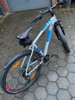 Mountainbike 29“ wie neu, Morrison, 1 Jahr 5 Monate, k. Abnutzung Schleswig-Holstein - Mehlbek Vorschau