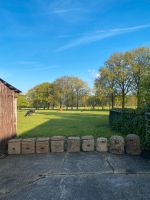 Bienenkorb Kanitzkorb Heidestülper Strohkorb Niedersachsen - Visselhövede Vorschau