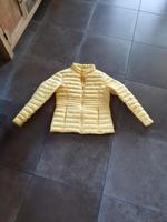 Original TCM Übergangsjacke gelb gesteppt 38  wie neu Schleswig-Holstein - Neumünster Vorschau