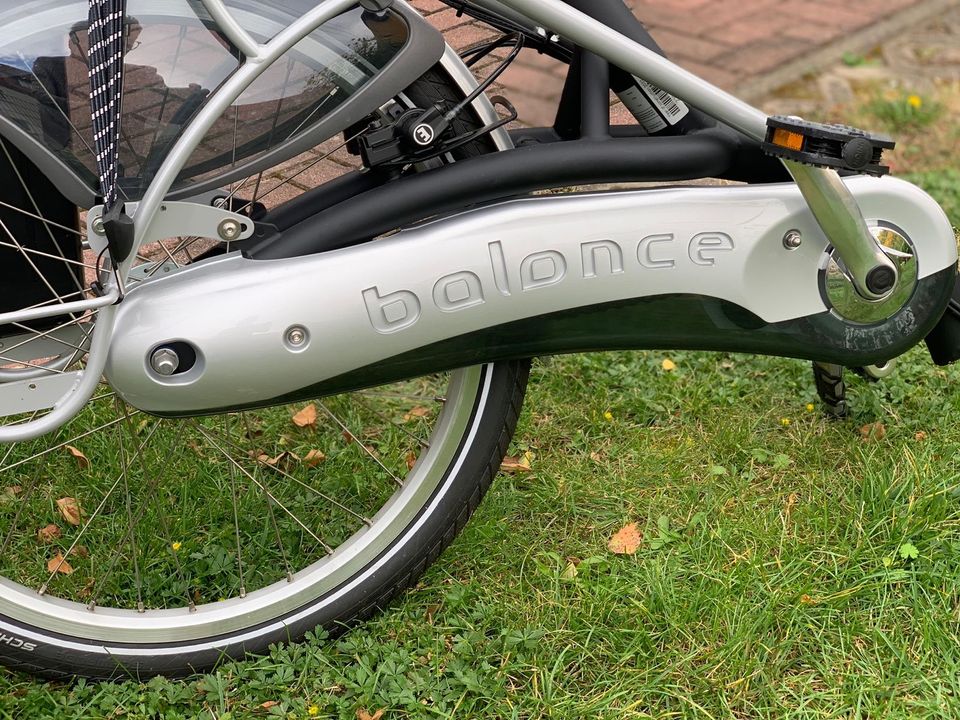 E-bike Vanraam Balance Komfort in Leipzig