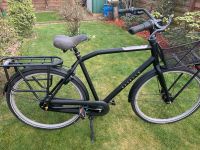 Fahrrad Gazelle Heavy Duty NL 7 Herren Nordwestmecklenburg - Landkreis - Brüsewitz Vorschau