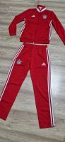 Adidas FC Bayern München Anzug Gr. 164 Sachsen - Löbau Vorschau