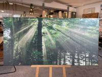 Foto-Druck „Sunbeam 1“ Bild Kunst Kunstwerk Wald Deko Rheinland-Pfalz - Worms Vorschau