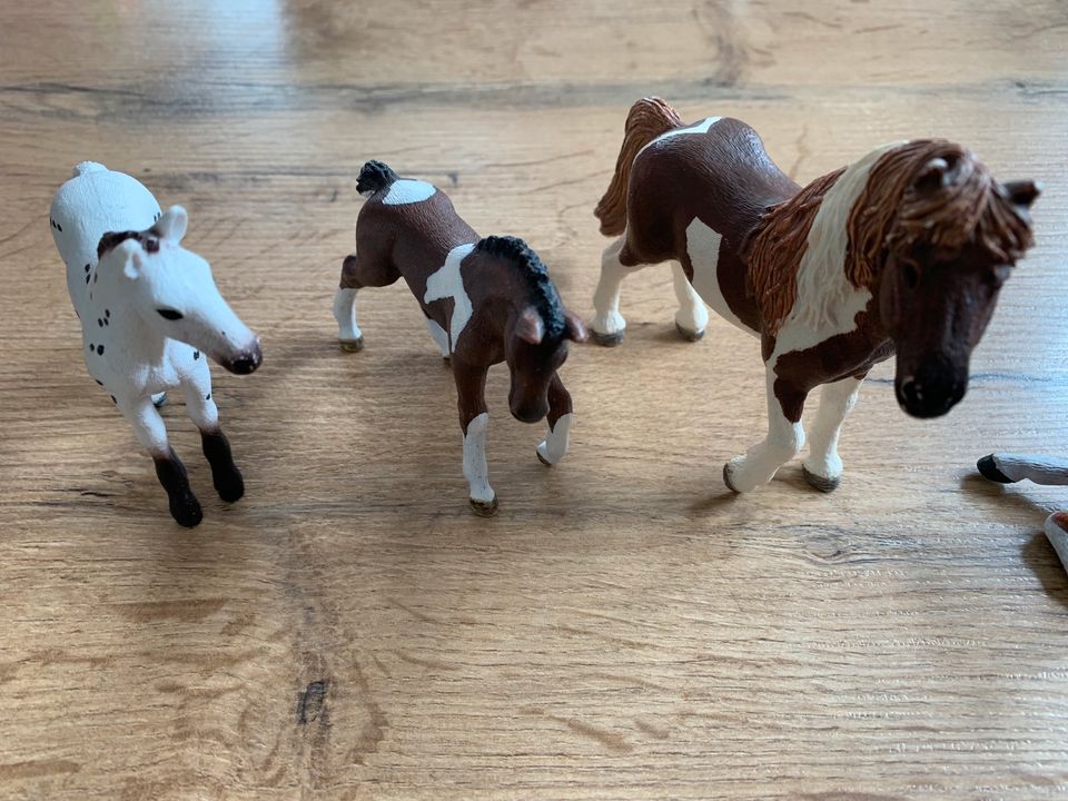 5 Schleich Pferde bzw. Fohlen in Emsdetten