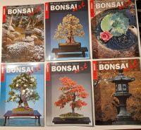 Bonsai Art Fachzeitschrift Sammleredition in Box Baden-Württemberg - Weilheim an der Teck Vorschau