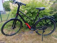 Damen 28er Trekkingrad Koga F3 5.0 Shimano XT 30 Gänge NEU Nordrhein-Westfalen - Detmold Vorschau