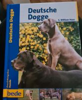 Buch über Deutsche Dogge,  Bede Verlag, Ratgeber Hessen - Waldeck Vorschau