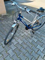 Fahrrad Pegasus 28 Zoll Bayern - Traunreut Vorschau