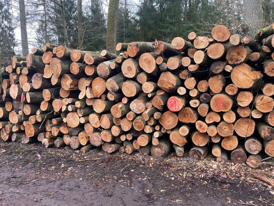 Kaminholz, Brennholz, Buche, trocken oder vorgelagert, Feuerholz in Schwarzenbek