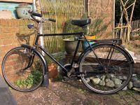100 Jahre Oldtimer Hollandrad Fahrrad DCR Rio Grande Gazelle Schleswig-Holstein - Kiel Vorschau