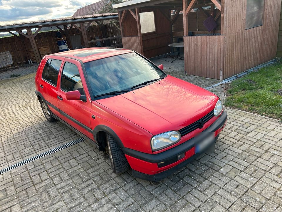 Golf 3 Color Concept 1.9 TDI 1Z in Beetzendorf