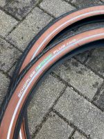 Schwalbe E-Bike Reifen Energizer Plus, NEU Nordrhein-Westfalen - Bottrop Vorschau