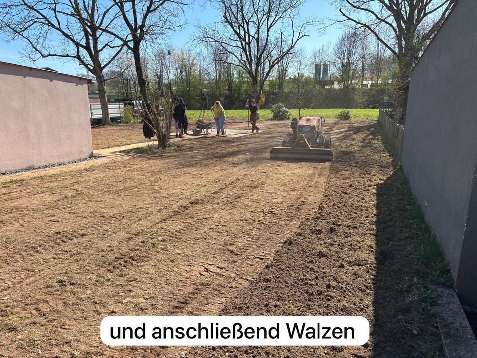 Baumfällarbeiten Heckenschnitt Baumpflege Mulcharbeiten in Orsfeld