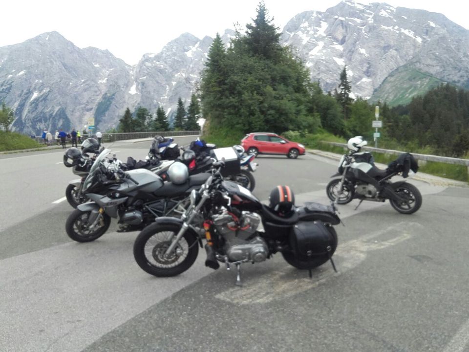 Harley Sportster 883/1200 in Weiden (Oberpfalz)