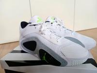 Nike Jordan Tatum 2 Air 48,5 neu Basketball Schuhe Sneaker NP140 Niedersachsen - Lehrte Vorschau