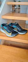 Nike Trail aus USA  gr. 42 Kr. Passau - Passau Vorschau