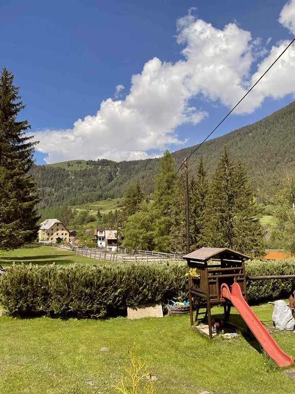 Last Minute Urlaub mit Hund in Österreich-Tirol-Nauders in Carlsberg