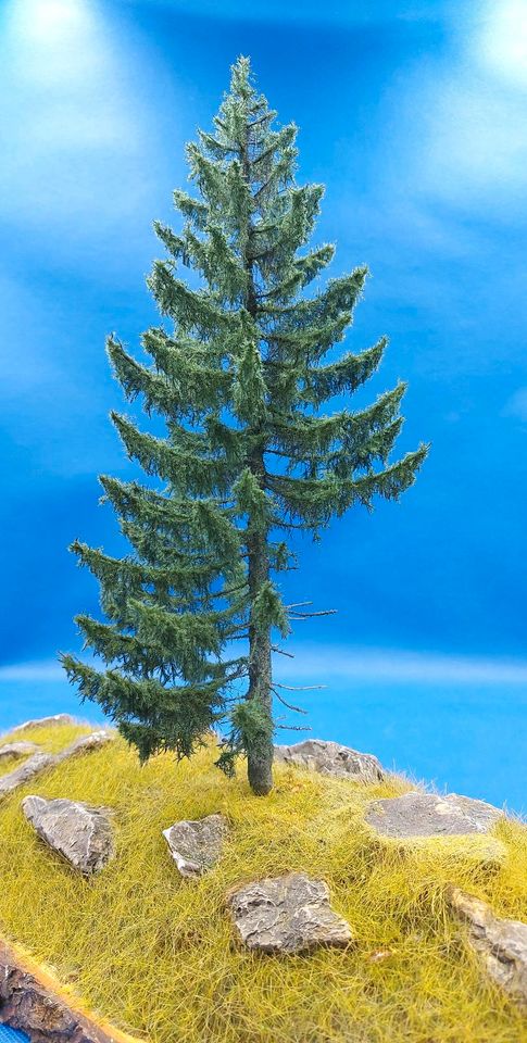 Modell-Baum - Wetterfichte - 15-50cm Höhe - ultrarealistisch in Rülzheim
