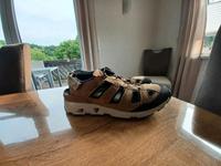 Josef Seibel Noah 08 Sneaker Leder beige für Herren Nordrhein-Westfalen - Drolshagen Vorschau