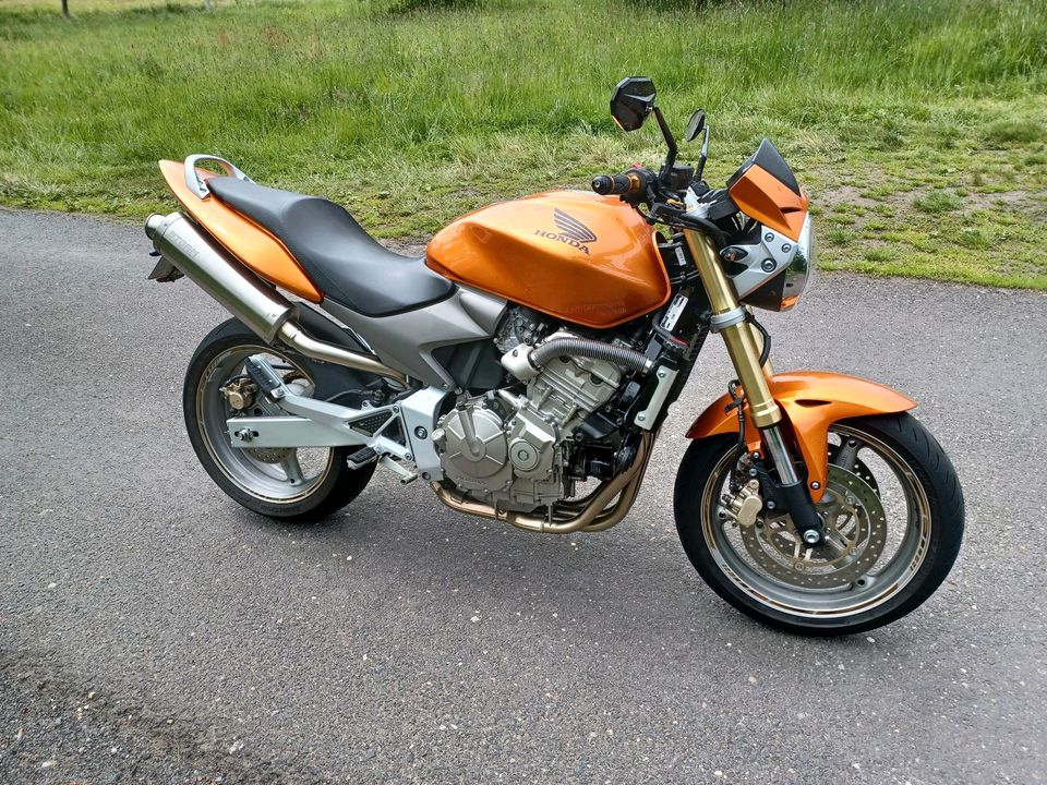 Honda Hornet pc36 Cb600 Motorrad A2 tauglich in Freiberg