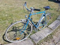 Herrensport Fahrrad Rennrad Fixies Vintage Thüringen - Eisfeld Vorschau