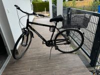 Fahrrad Pegasus Avanti S Trekkingbike mit Fahrradkorb Bayern - Gundremmingen Vorschau
