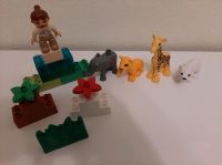 Lego Duplo Zoo Tierbabys (4962) - mit Versand Hessen - Darmstadt Vorschau