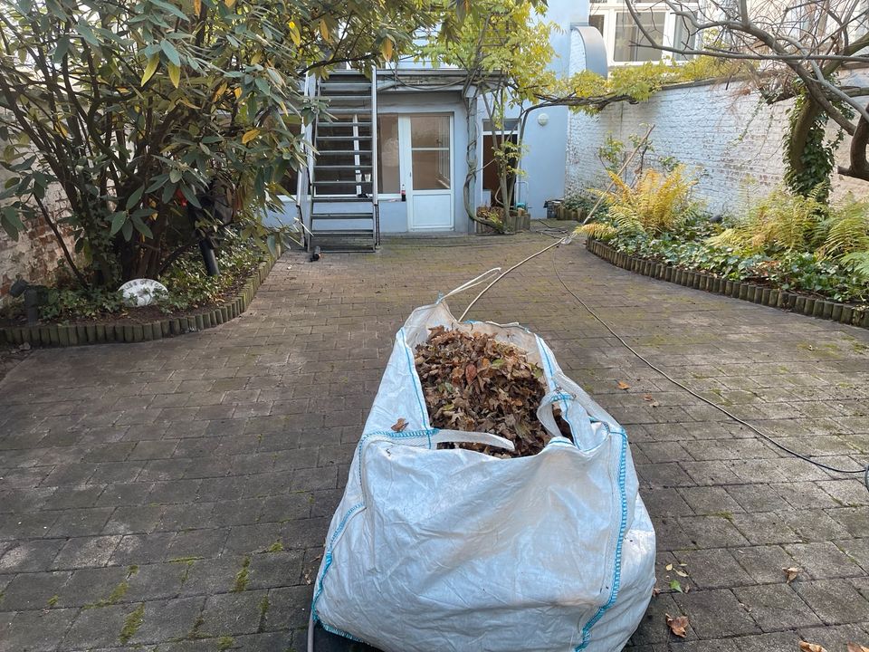 Gartenarbeit  Steinreinigung Gärtner in Oberdürenbach