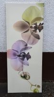 IKEA - Großes Wandbild - Orchideen - 140 X 56 cm Hessen - Kassel Vorschau