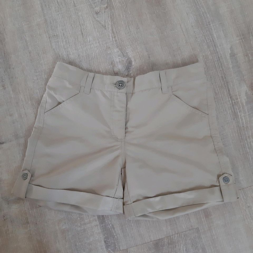 Kurze Shorts Hosen Leggings in Seth Holstein