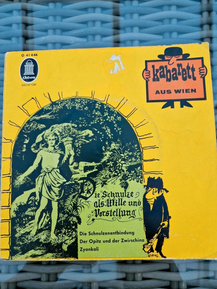 Schallplatten - ca. 30 Stück in München