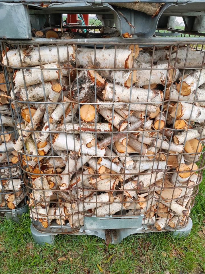 Brennholz Holz Gehackte Birke in der Gitterboxen in Kirchberg an der Jagst